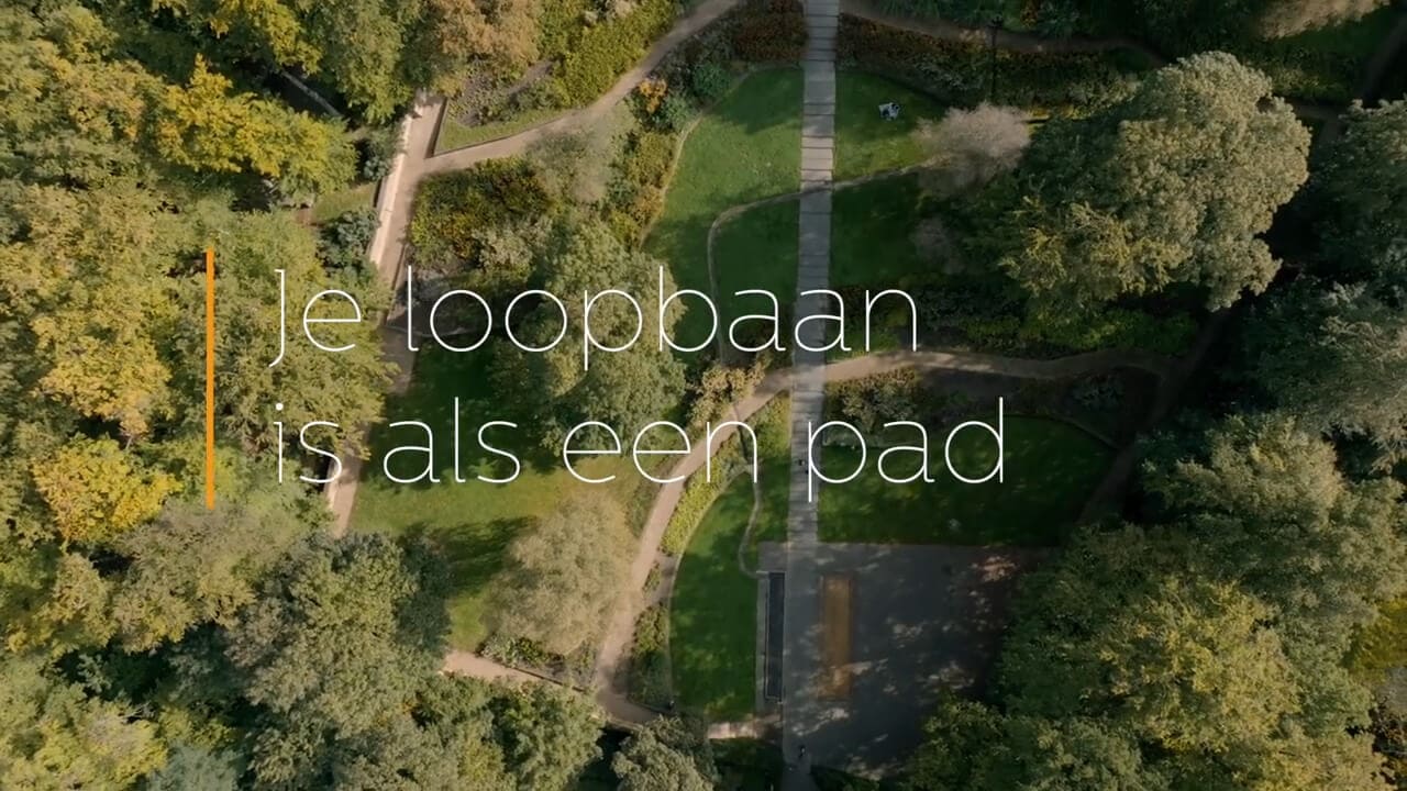 loopbaan als een pad